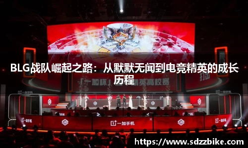 BLG战队崛起之路:从默默无闻到电竞精英的成长历程